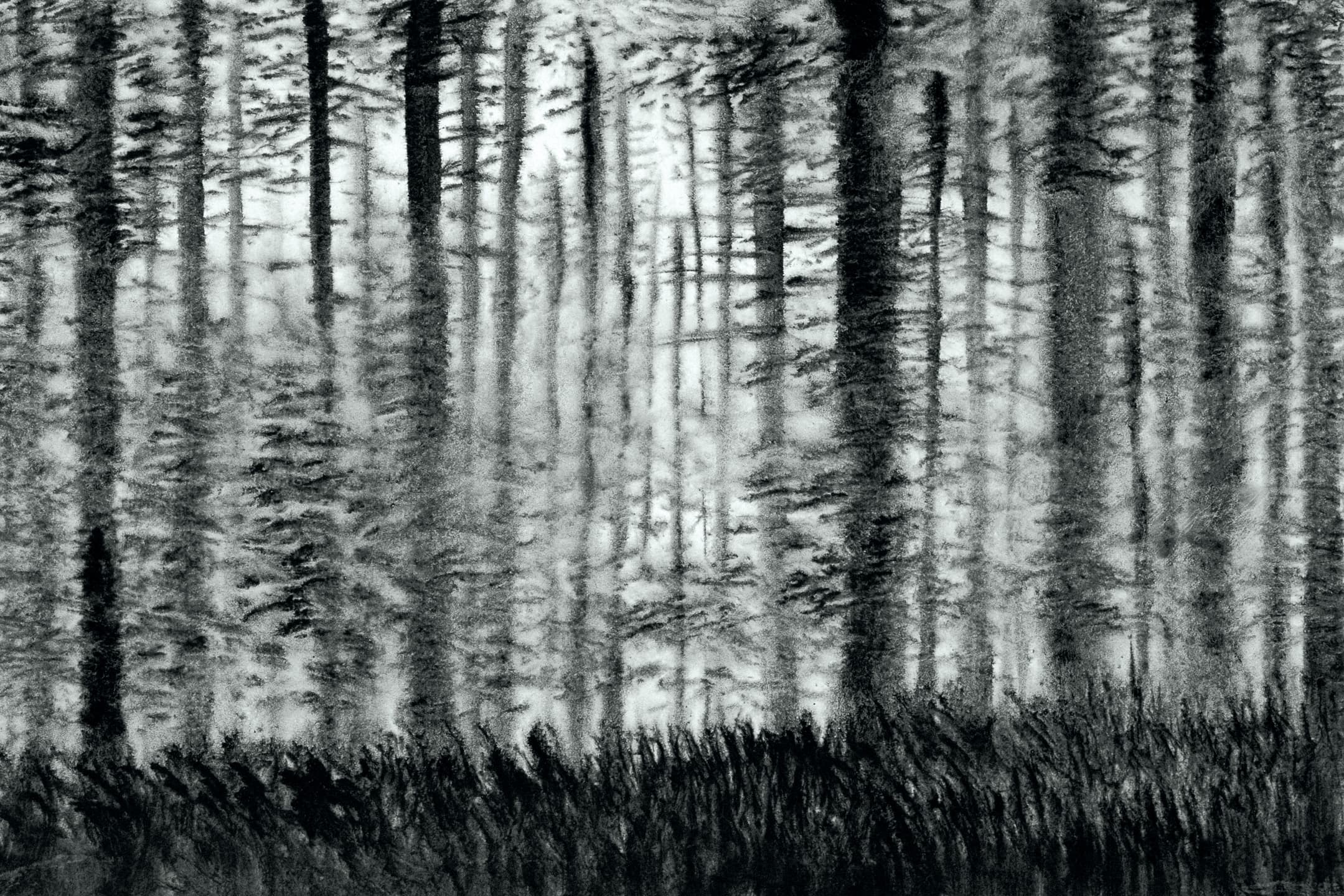 The Woods No.2