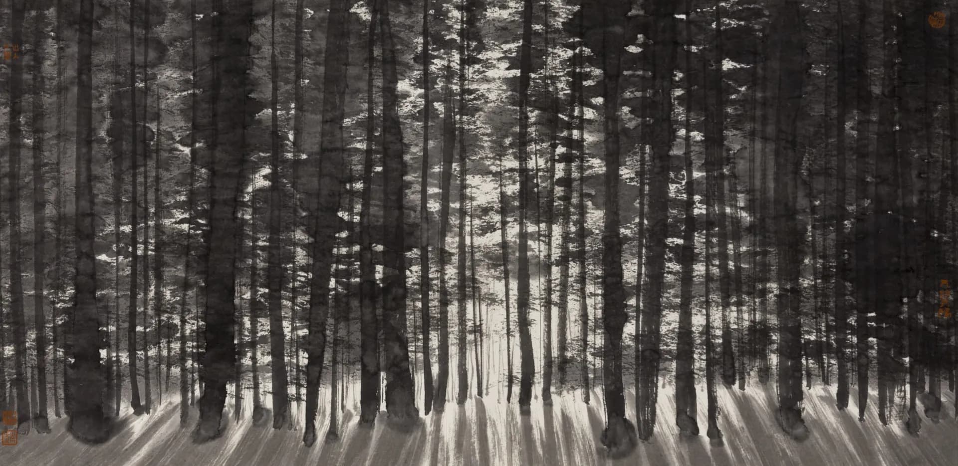 Where Shadow Chases Light