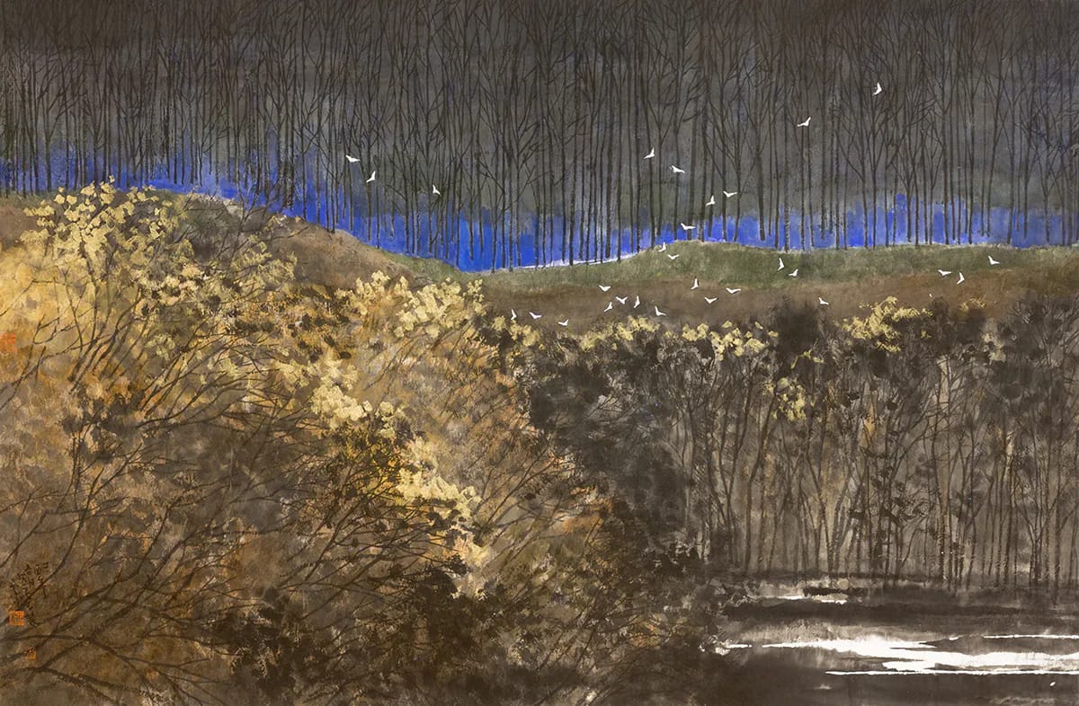 Midnight Forest