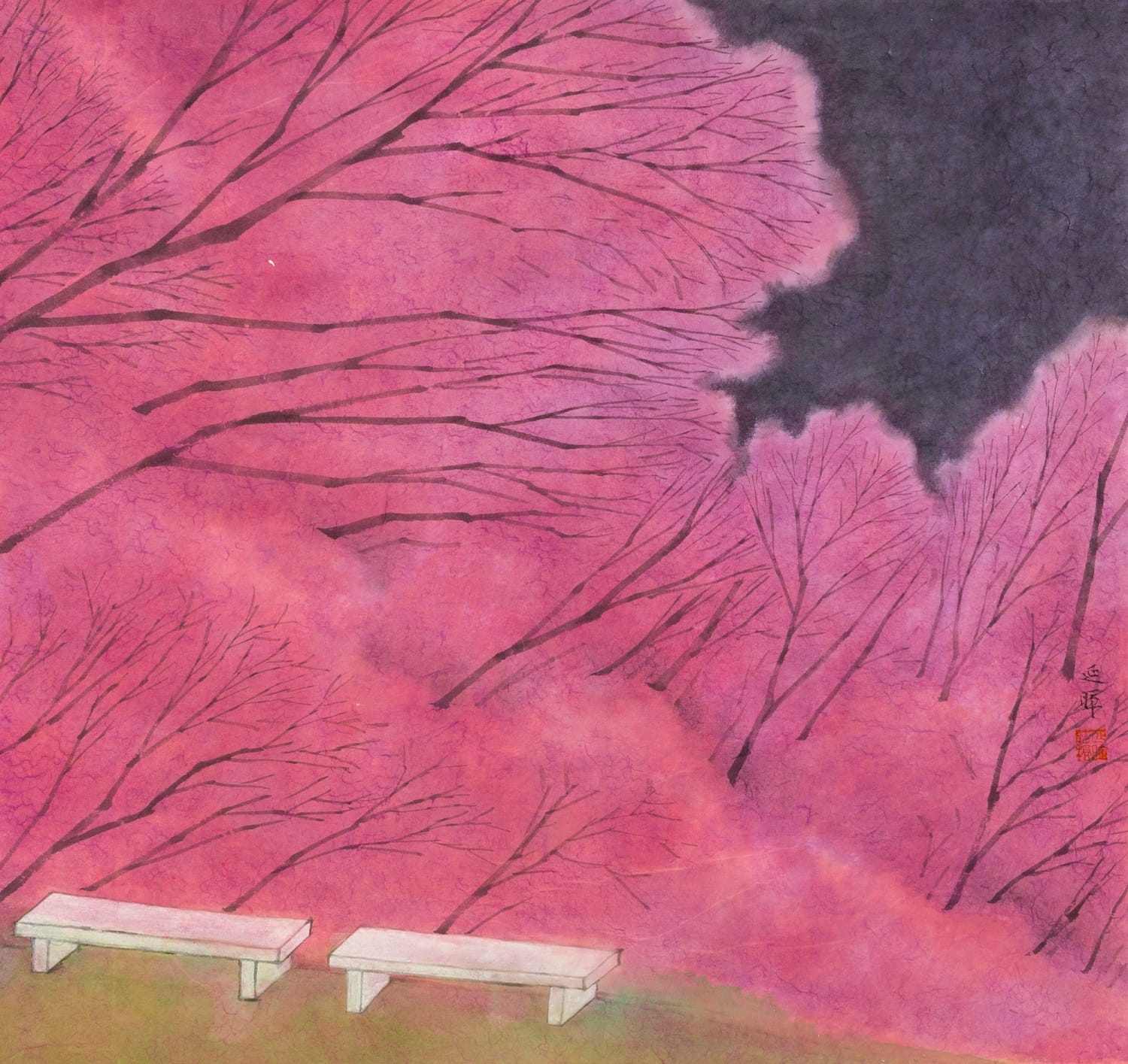 Spring’s Blossom