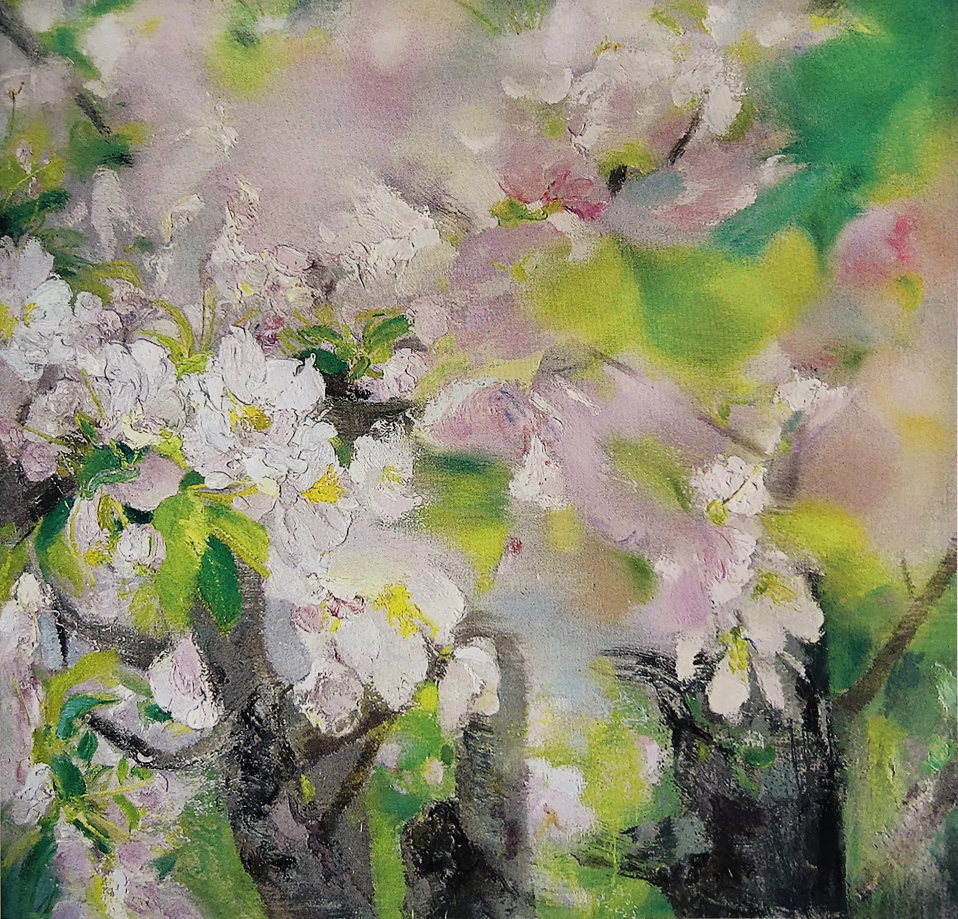 Spring