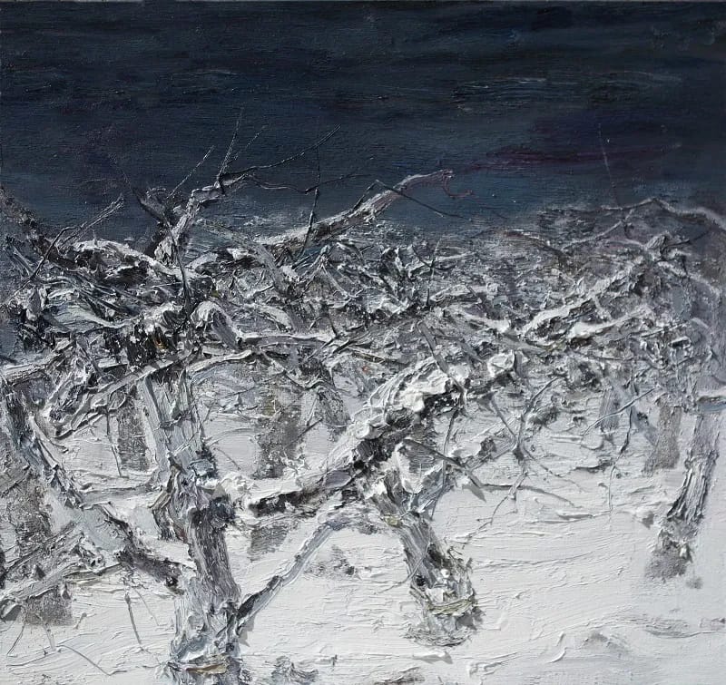 A Winter Night