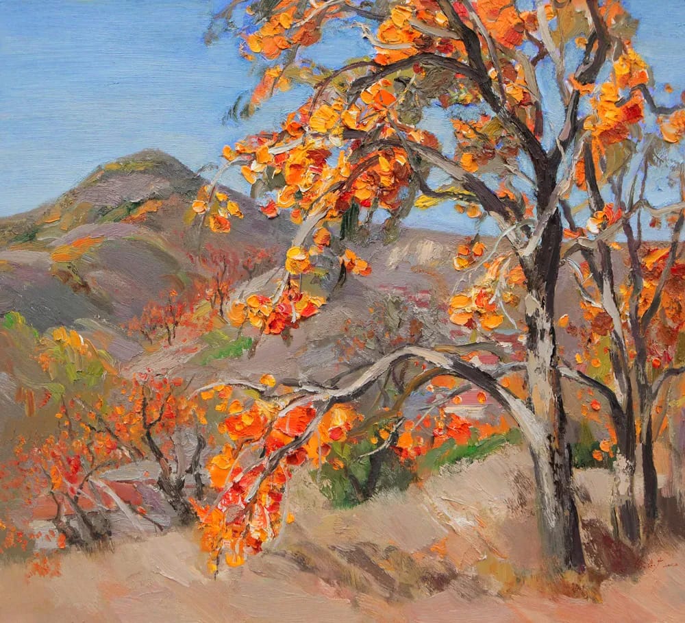 Persimmon Trees