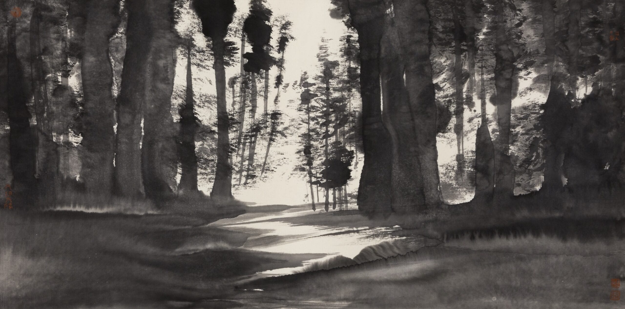 Beneath the Canopy